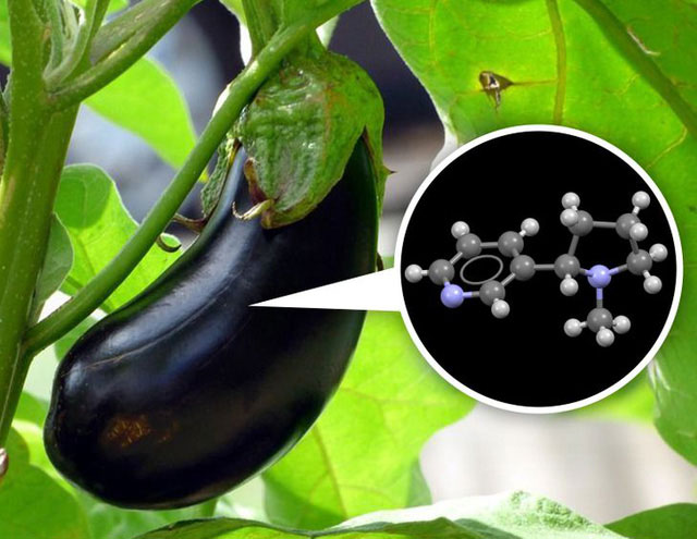 1648890350426088721.jpg 9-interesting-knowledge-that-you-never-expected-picture-2-Vis0oMfVX.jpg