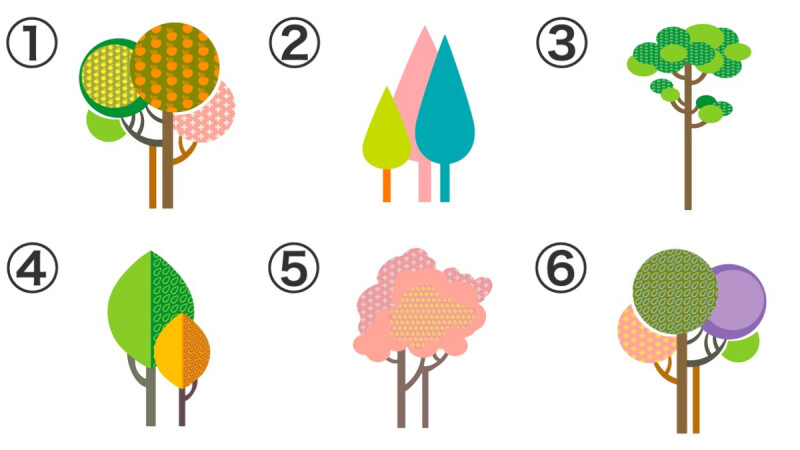 心理测验/你最喜欢哪种树? 测性格中潜藏的「一见钟情」指数