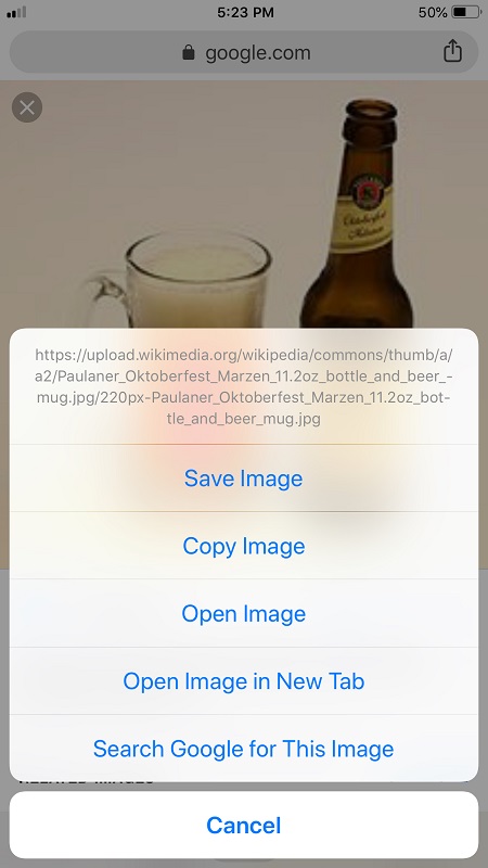 查明是否有人在线使用您的图片