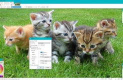 在线调整图像大小的最佳网站