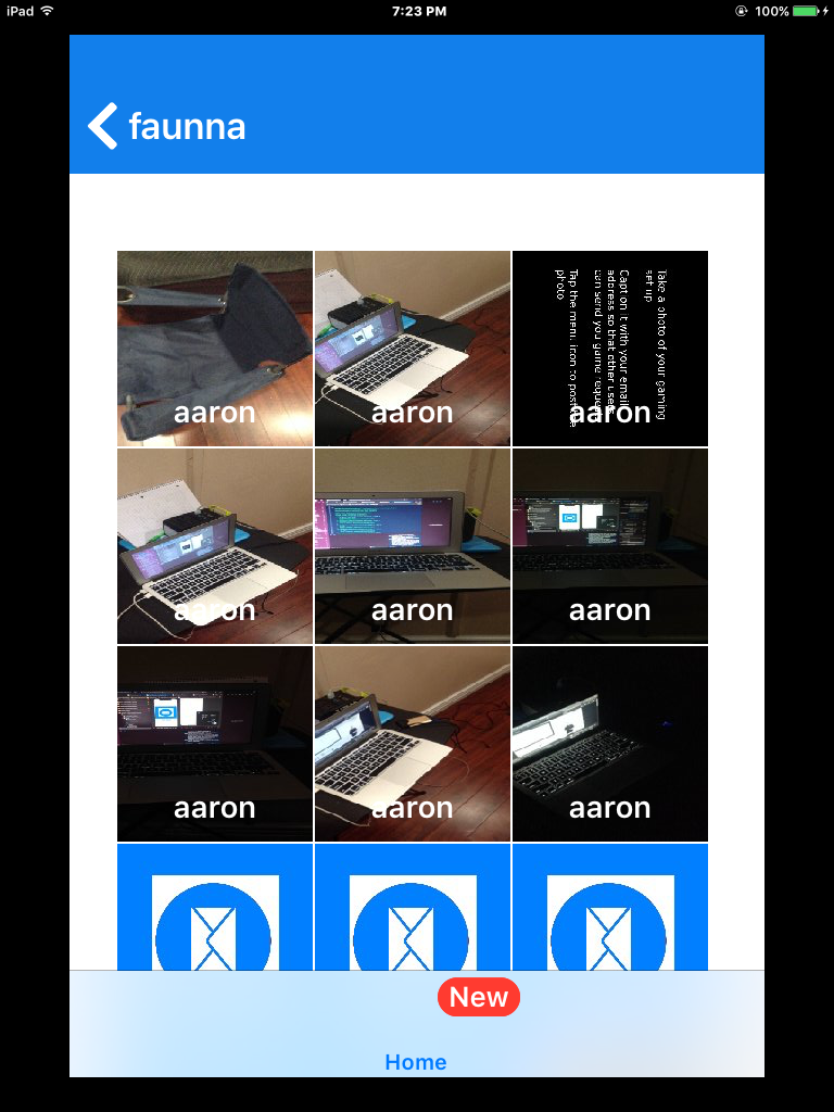 这个标签栏控制器应该嵌入在哪里？