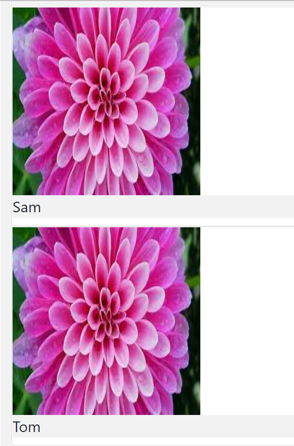 显示从 React 中的 API 获取的用户影像串列,所有 10 个影像都闪烁到每个用户影像,然后第 10 个用户影像保留?