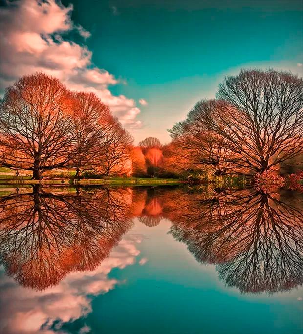 与补充影像的背景隔离