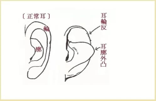 1660752376967068532.jpg p3191001a726341606-ss.jpg