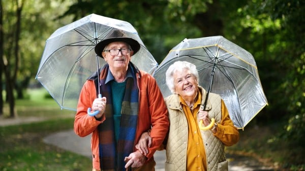 1666454515243082828.jpg p3230752a195985013-ss.jpg