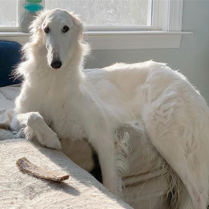 1650622241679036613.jpg she-has-the-longest-nose-in-the-world-picture-3-fLXVA4IuJ.jpg