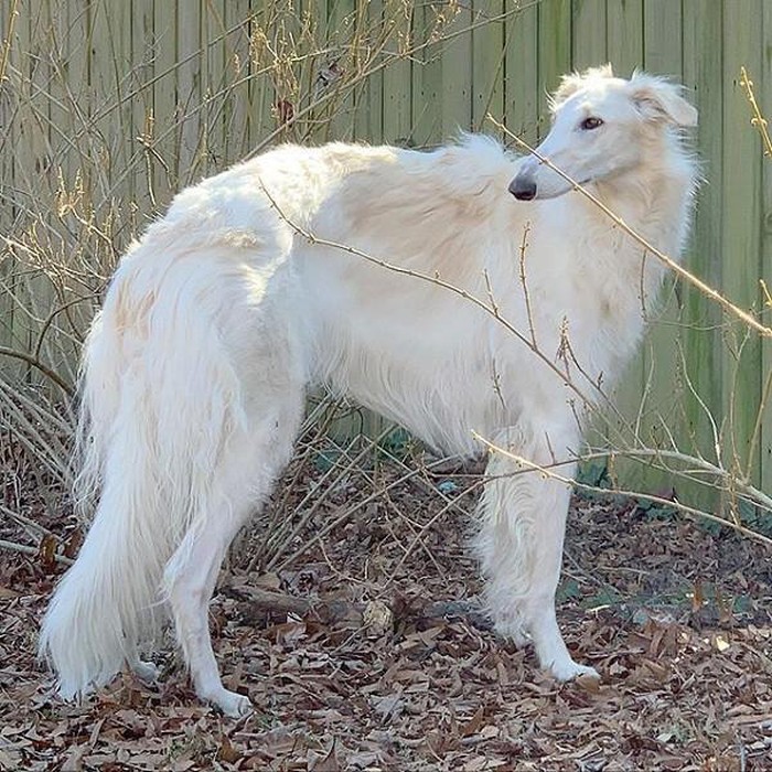 1650622307466036644.jpg she-has-the-longest-nose-in-the-world-picture-8-Q2pqTE33Z.jpg