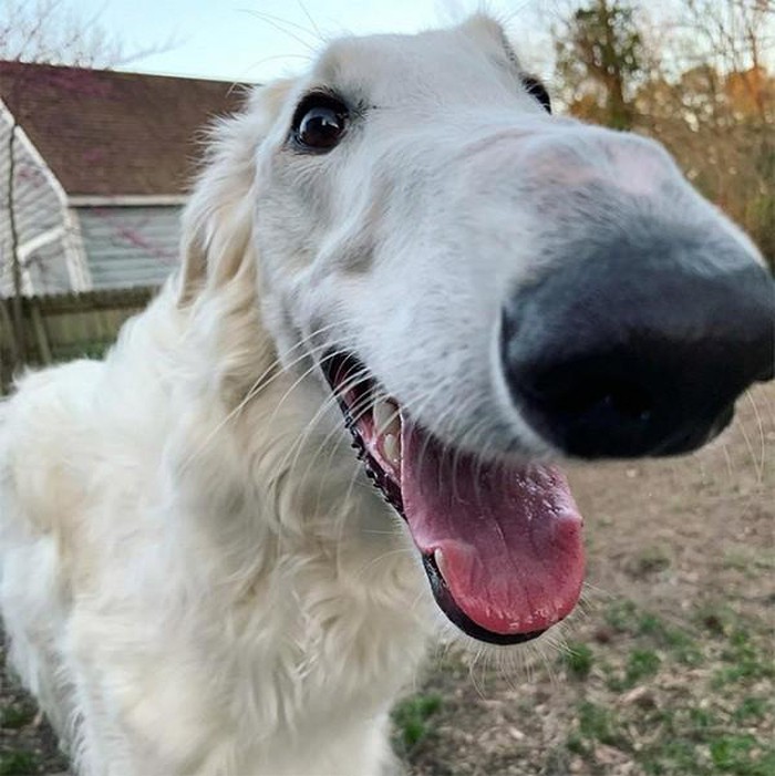 1650622336530025438.jpg she-has-the-longest-nose-in-the-world-picture-11-DhHyYANej.jpg