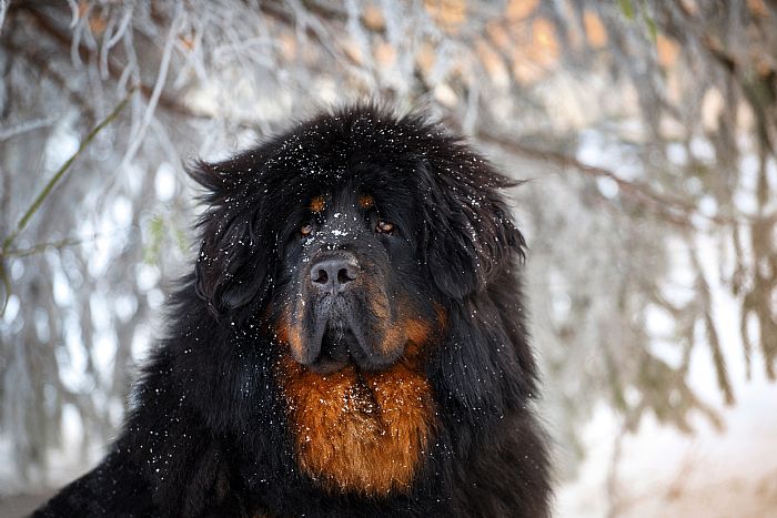 1678701388530060050.jpg 20220525112325888_700_0_80.jpg