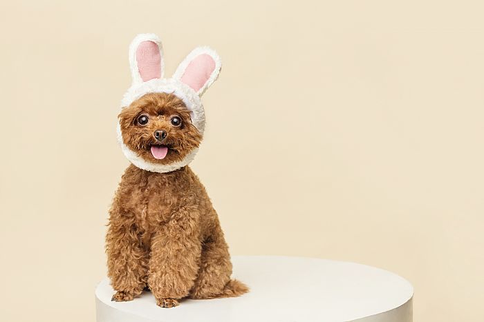 1678701401610048061.jpg 20220525112305557_700_0_80.jpg