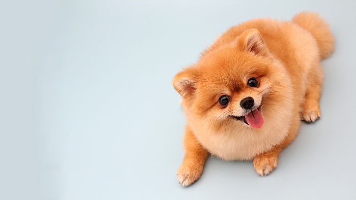 1678701411777020840.jpg 20220525112253510_700_0_80.jpg