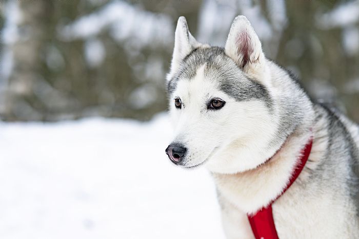 1678701430140018222.jpg 20220525112407008_700_0_80.jpg