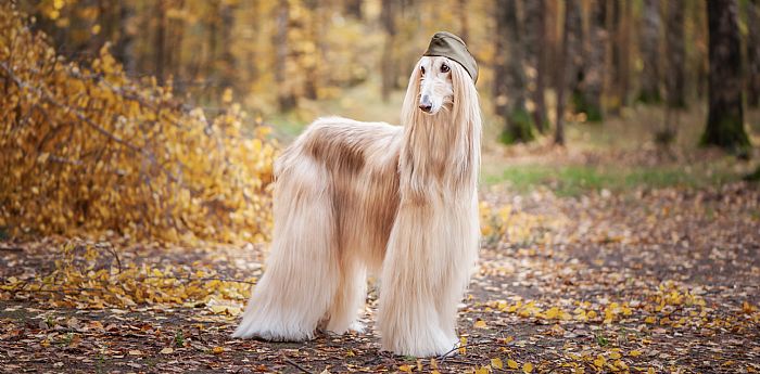 1678701449216075067.jpg 20220525112417737_700_0_80.jpg