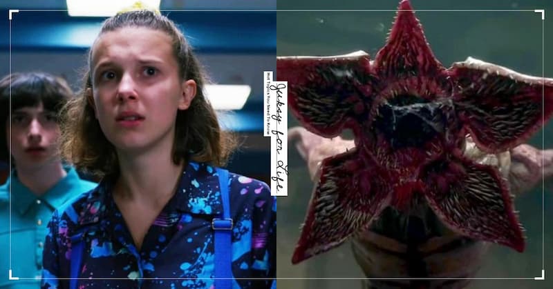 1655991424090077643.jpg 800x_100_w-62964a6dda773.jpg