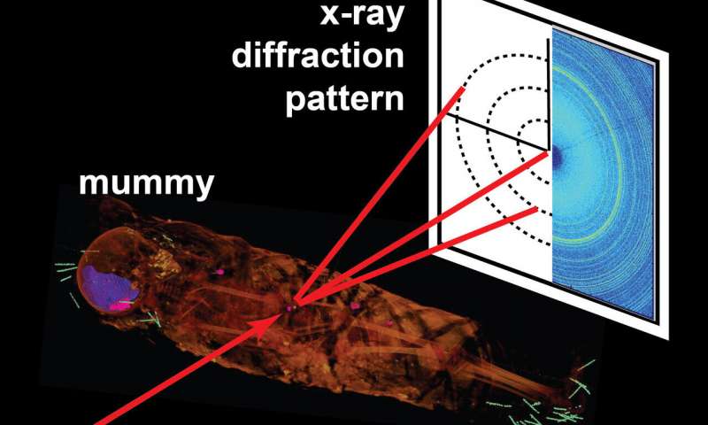 1649768759684019387.jpg the-mystery-inside-the-mummies-has-a-real-human-face-in-egypt-picture-4-BDJ1PzTJe.jpg