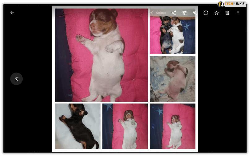 1639583965735056037.png 423.8.png